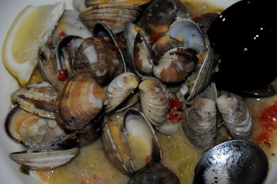 Steamer Clams